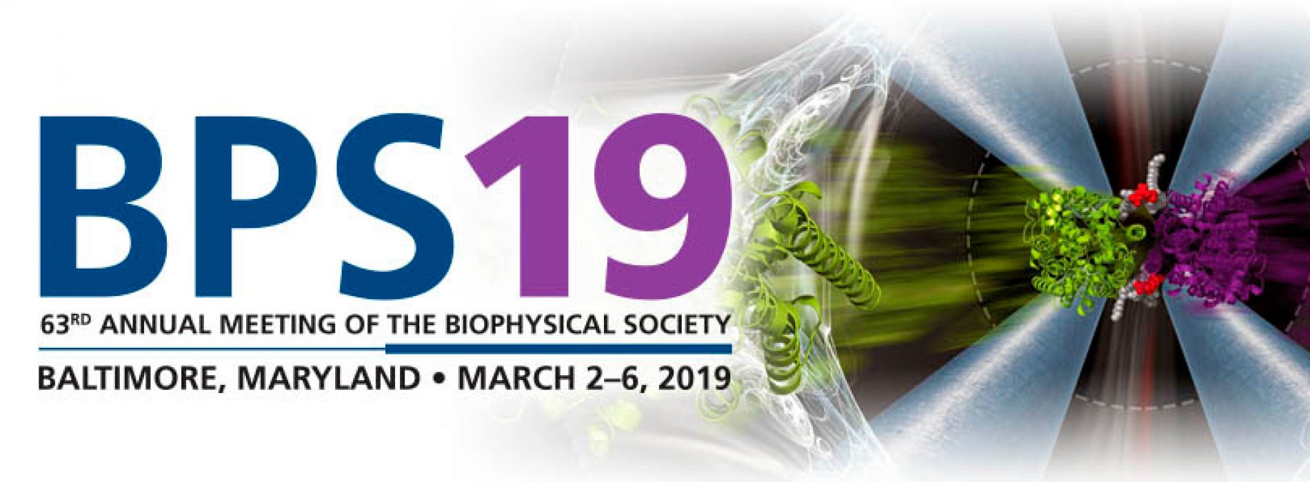 Save the Date Biophysical Society 63rd Annual Meeting Baltimore