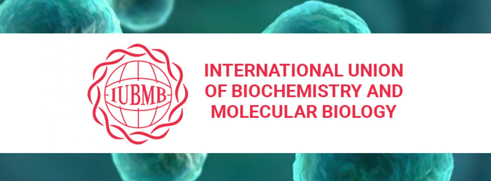 International Union Of Biochemistry And Molecular Biology (IUBMB ...